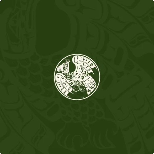 Wai Wai Kum Nation Logo Placeholder
